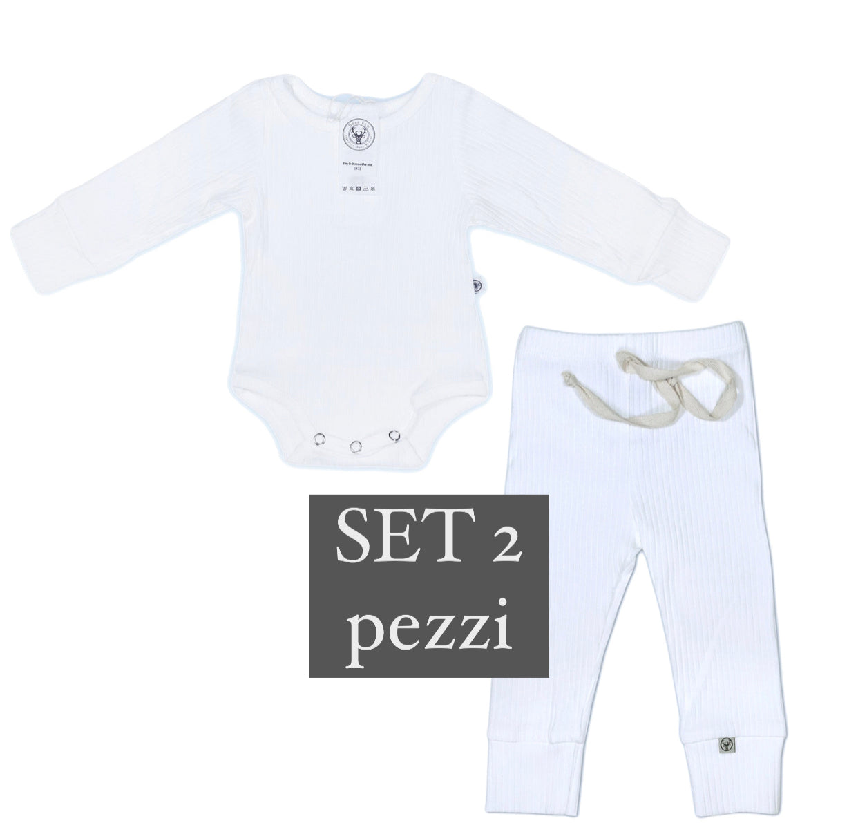 SET Body con bottoni + pantaloni